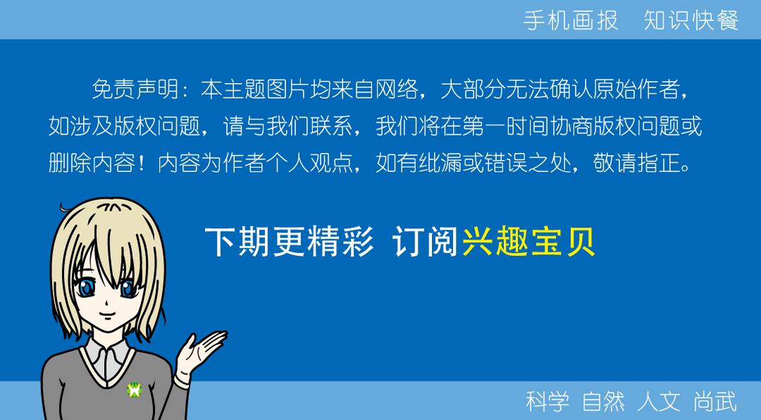 所有36种猫科动物排行,兴趣宝贝21期