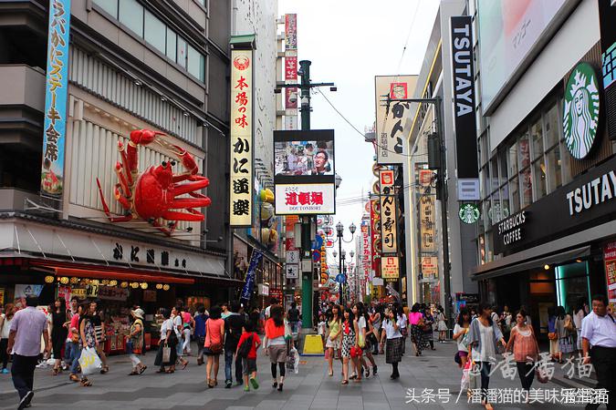 山阴山阳地区五县旅行线路指南