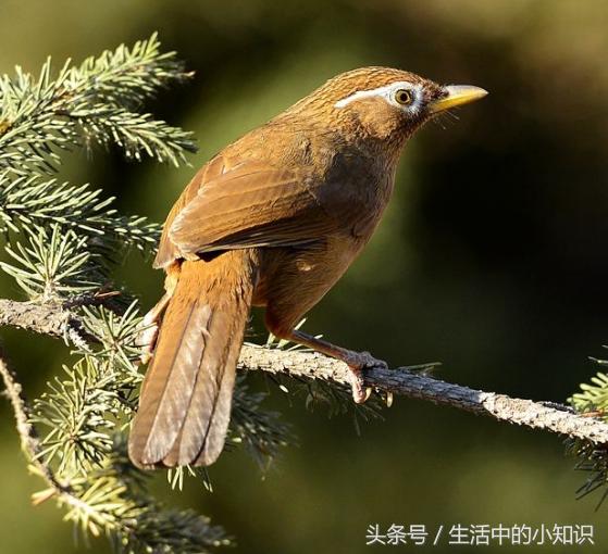 70岁老人送什么生日礼物,送老人什么生日礼物最好最实用