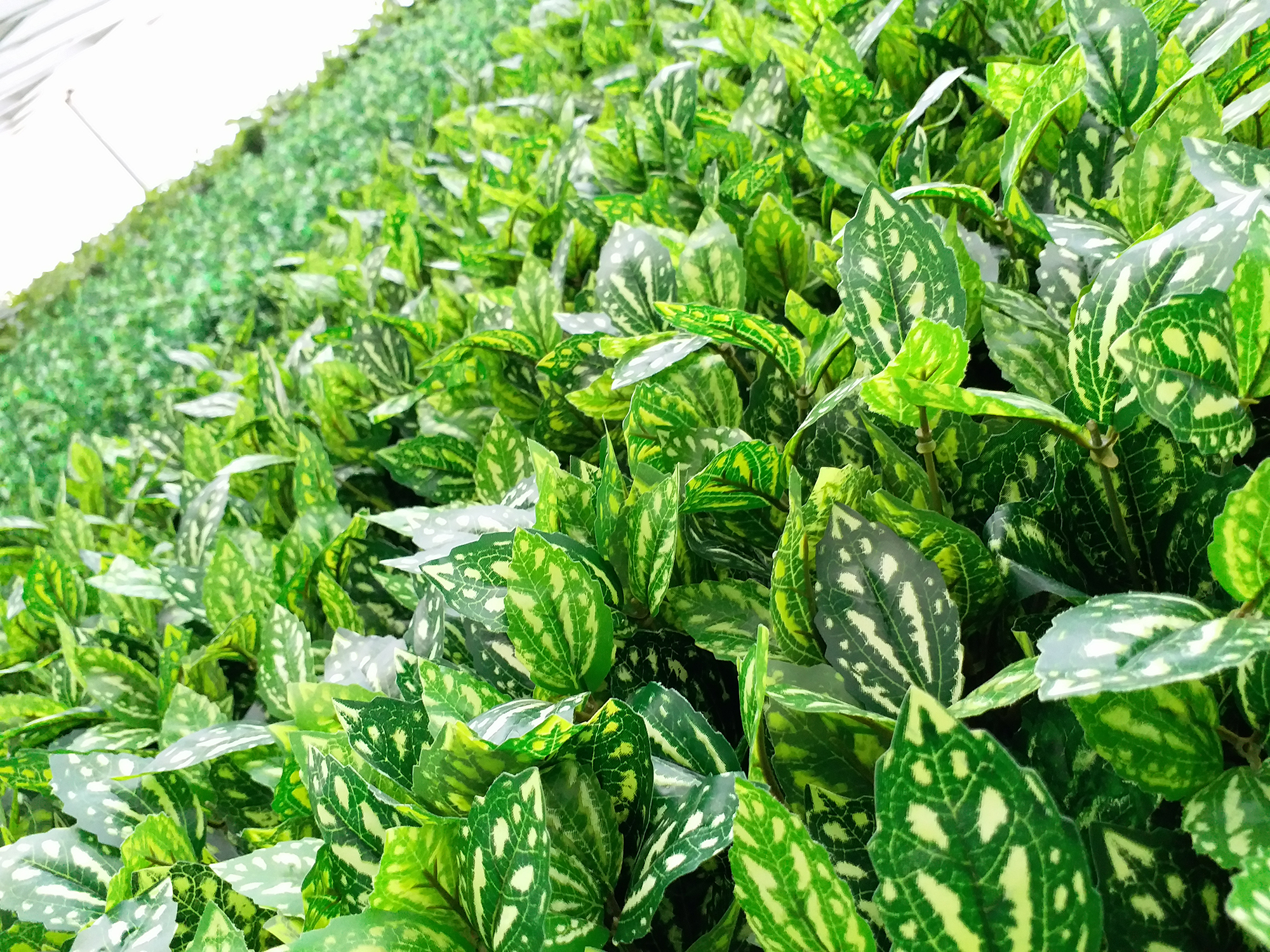 三星galaxyc9pro发售价,三星galaxyc9pro现在还能用吗