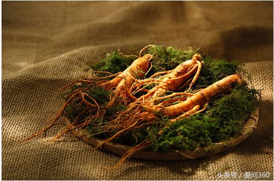 人参枸杞子泡水喝的功效与副作用,人参功效与作用及禁忌症有哪些