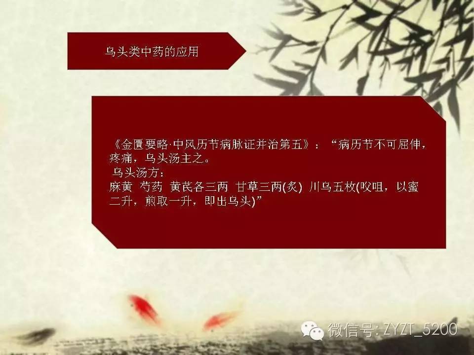 高鑫风湿医生,高鑫中医