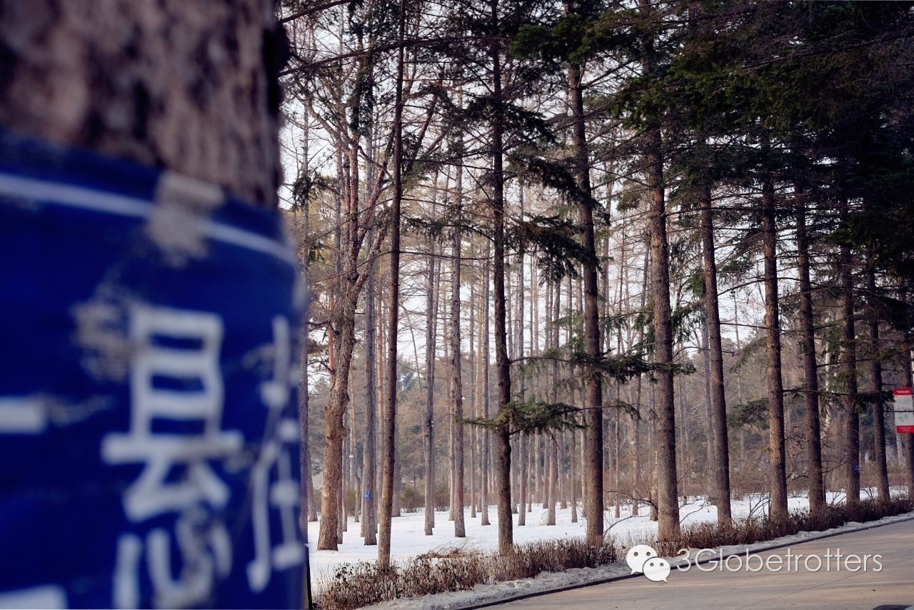 长春我爱你的照片,长春我爱我妻家政月嫂服务中心