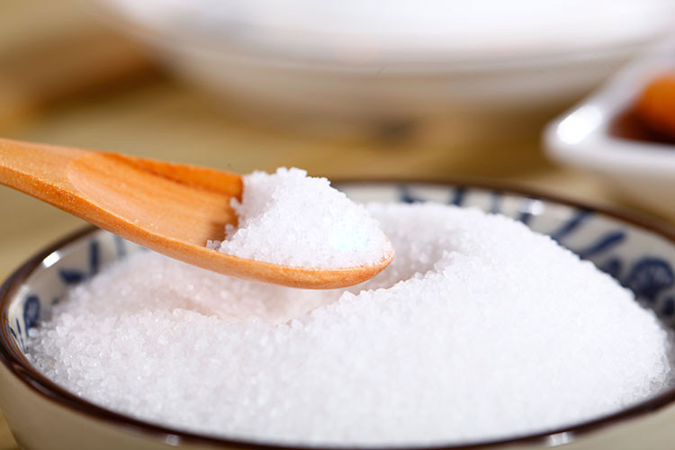 泰迪狗哪些食物不能吃,泰迪狗不可以吃的食物