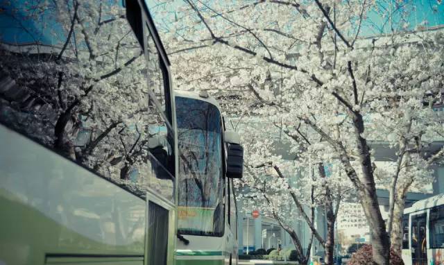 南昌人交通意识,南昌人关注了