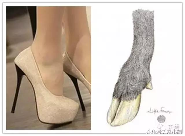 个子矮的真实感受,个子矮是因为什么