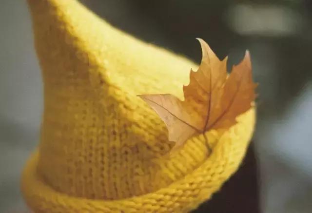 我从来都不认为爱钱是一种可耻的行为