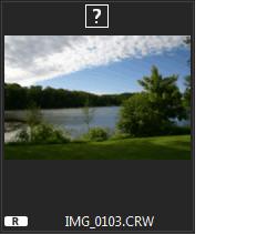 单反相机raw格式怎么使用,单反raw格式为什么显示不了作者