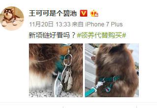 王思聪敢给王可可买这条狗链，看来是决心挑衅整个娱乐圈了