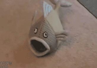 宠物吃辣条搞笑视频,什么宠物吃辣条会中毒