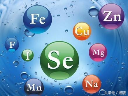 补充钙铁锌硒维生素吃什么,补充维生素锌硒