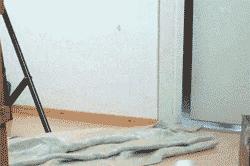 宠物吃辣条搞笑视频,什么宠物吃辣条会中毒