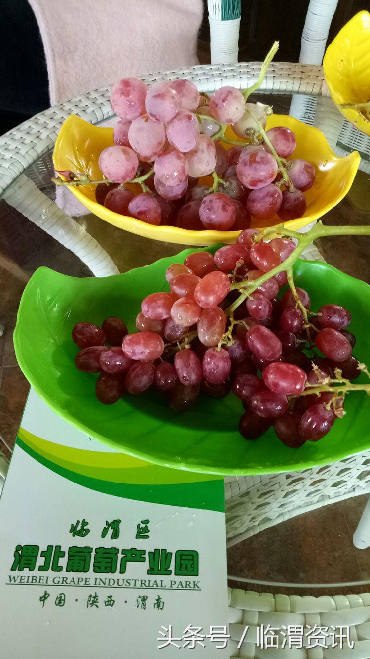 中省市网媒“走基层看变化，发现渭南之美”---临渭行