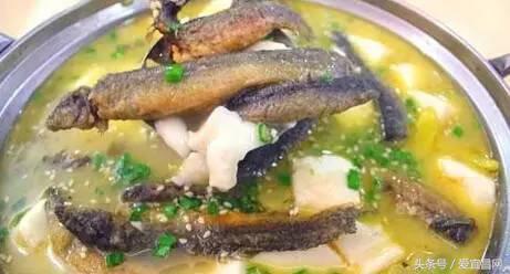 五峰美食,五峰有哪些著名的特产美食店铺