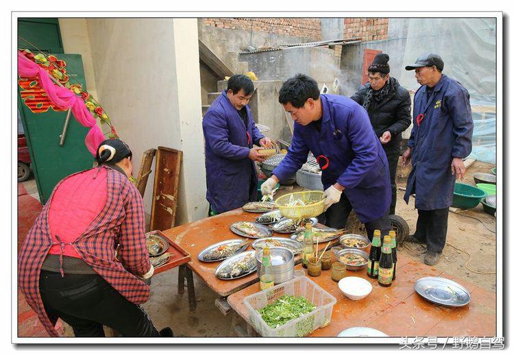 野鹅自驾甘肃,野鹅自驾