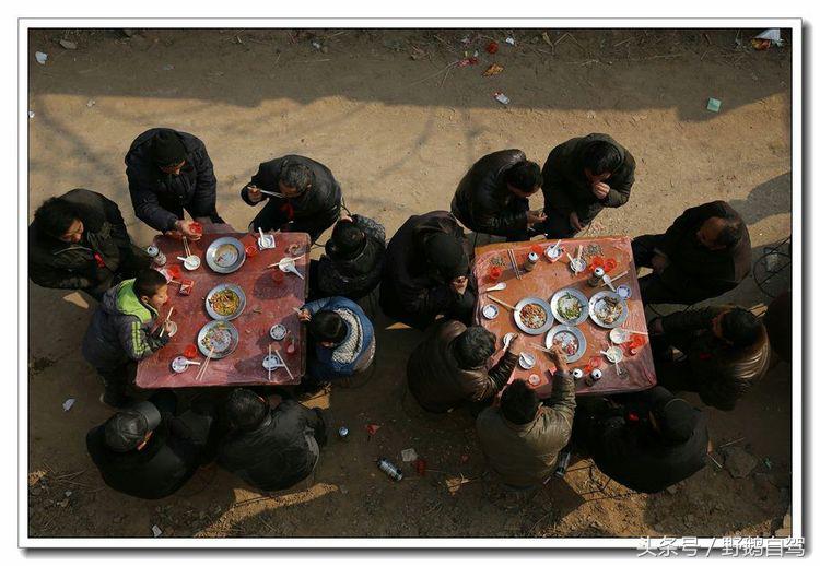 野鹅自驾甘肃,野鹅自驾