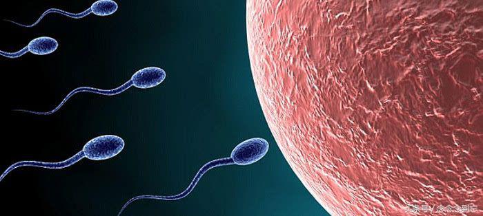 孕早期迟迟未见胚芽，到底啥原因？