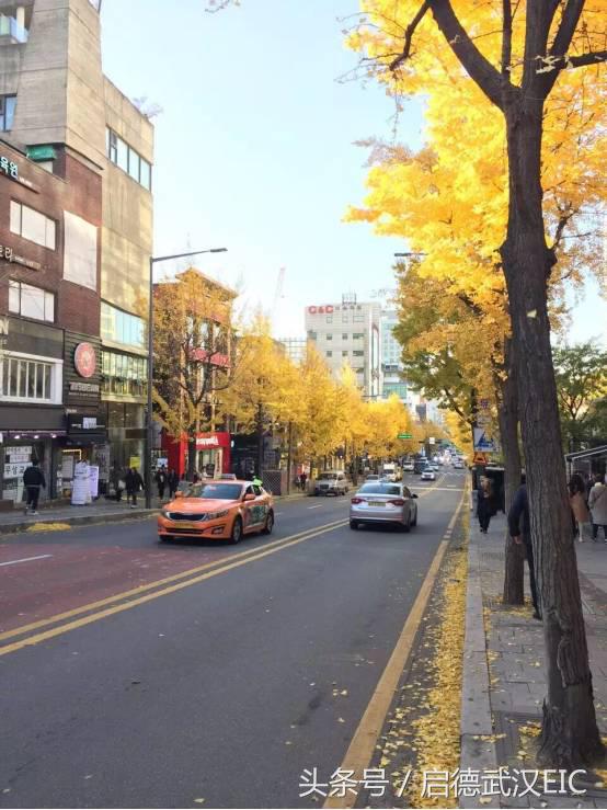 娆у反閲嶅洖闊╁浗瀹屾暣瑙嗛,娆у反褰掓潵闊╁浗瀹屾暣瑙嗛