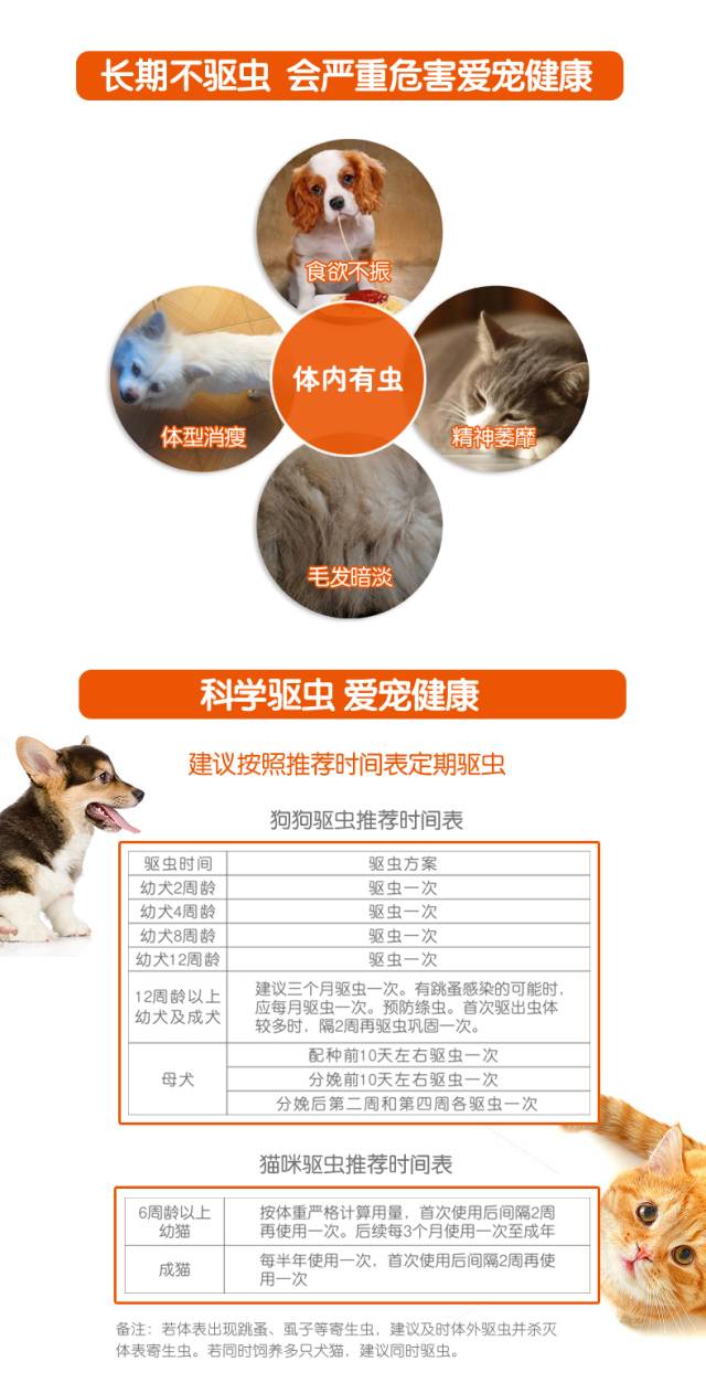 养宠的弊端,养宠物不驱虫的后果