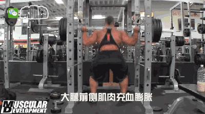 大体重腿部爆发力训练方法,固定器械腿部增肌训练