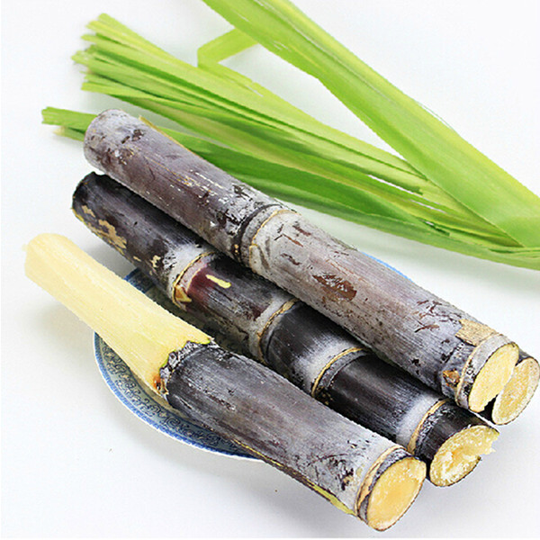 大雪丨白雪欲求吟咏句，穿枝掠院演梅花