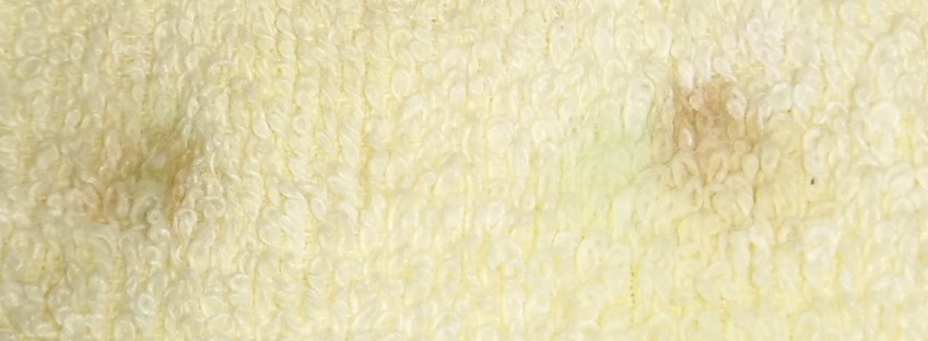 第一次使用舒客电动牙刷的体验,舒客电动牙刷更适合哪个牌子牙膏