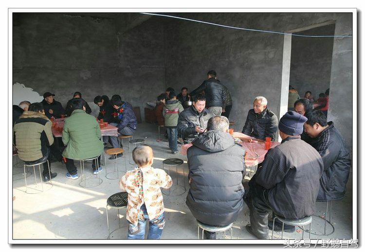 野鹅自驾甘肃,野鹅自驾