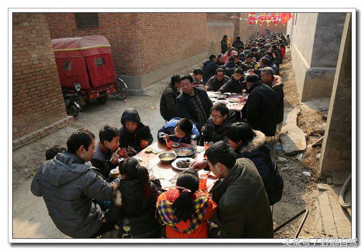 野鹅自驾甘肃,野鹅自驾