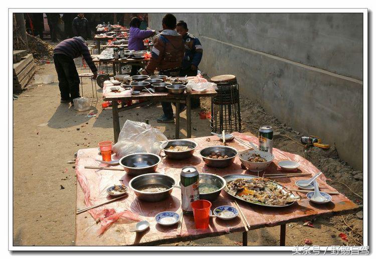 野鹅自驾甘肃,野鹅自驾