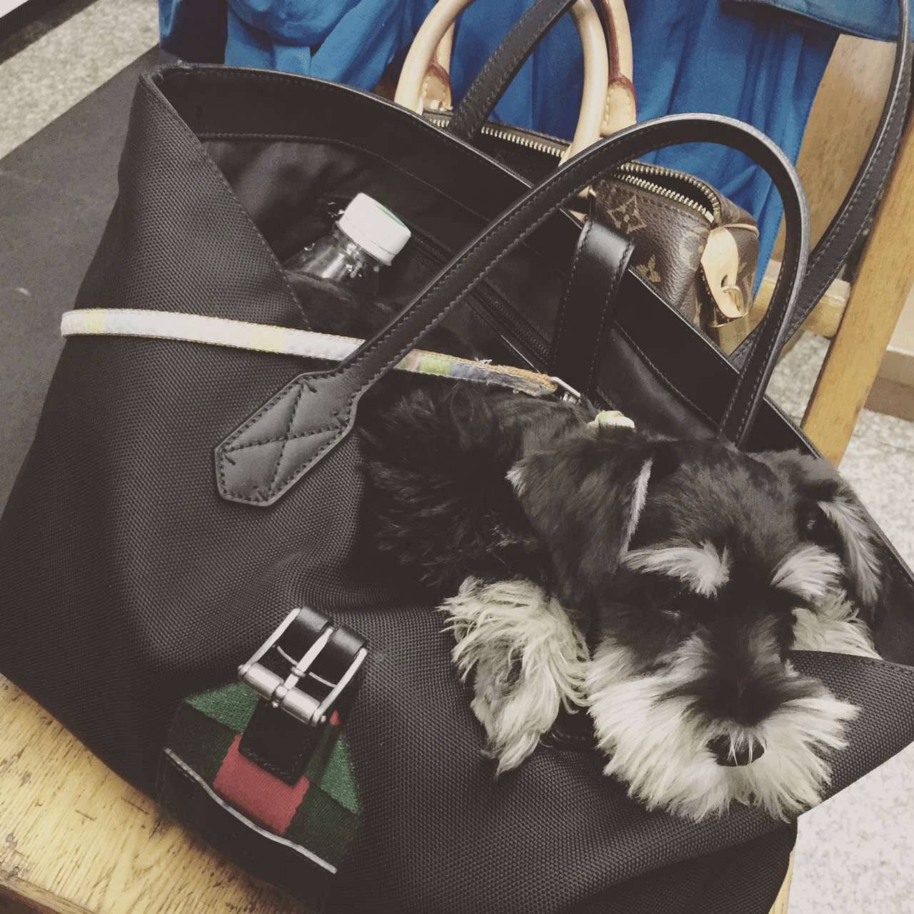 鸡汤吐槽,针对鸡汤的吐槽