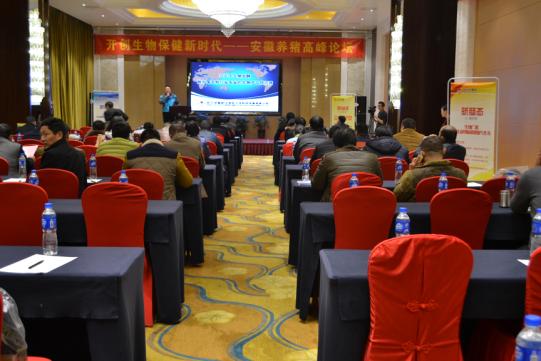 如何应对养殖业行情风险,生猪养殖业转型压力及困难