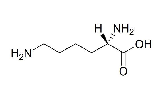 长高重要知识,长高科学原理