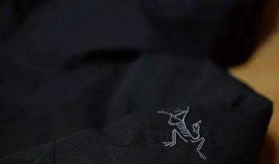 始祖鸟高端商务羽绒服系列,始祖鸟羽绒服3合一