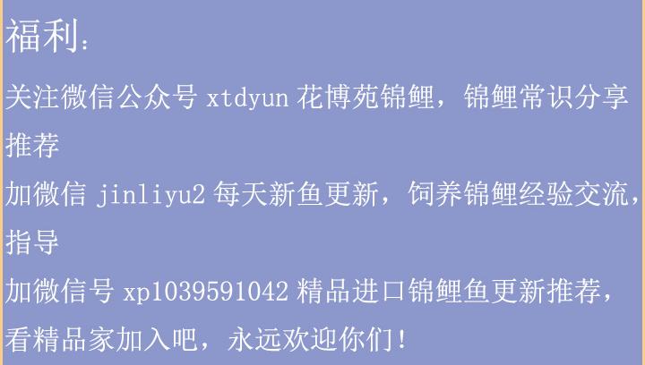 蒙眼是咋回事,眼蒙怎么办