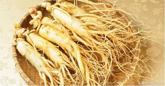 人参枸杞子泡水喝的功效与副作用,人参功效与作用及禁忌症有哪些