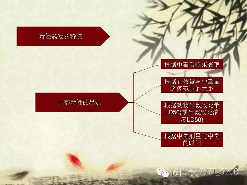 高鑫风湿医生,高鑫中医