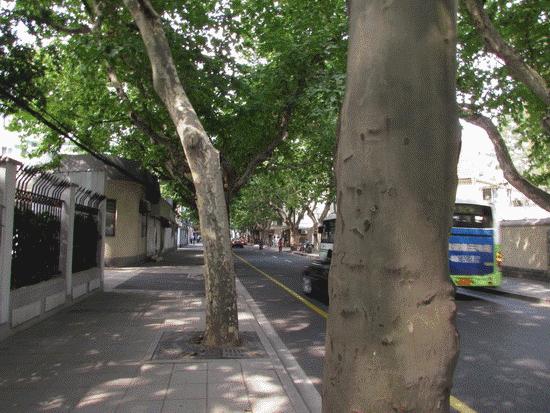 生活在大长沙是一种怎样的体验？