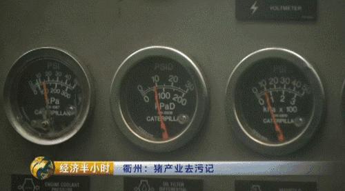 猪粪致富经,致富经养猪多赚一个亿