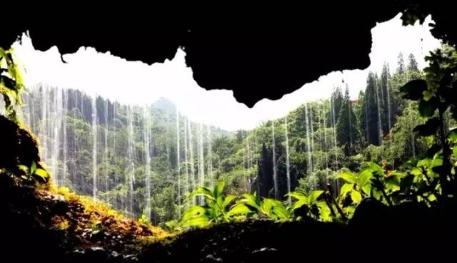 各个省份选美大赛,甘肃选美大赛冠军