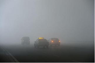 大人感冒头疼吃什么药最有效,感冒后期头疼的厉害吃啥药