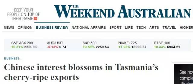 澳大利亚的新鲜樱桃,国内澳洲樱桃