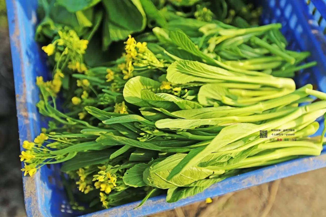 去连州有什么好玩的,清远连州旅游详细攻略