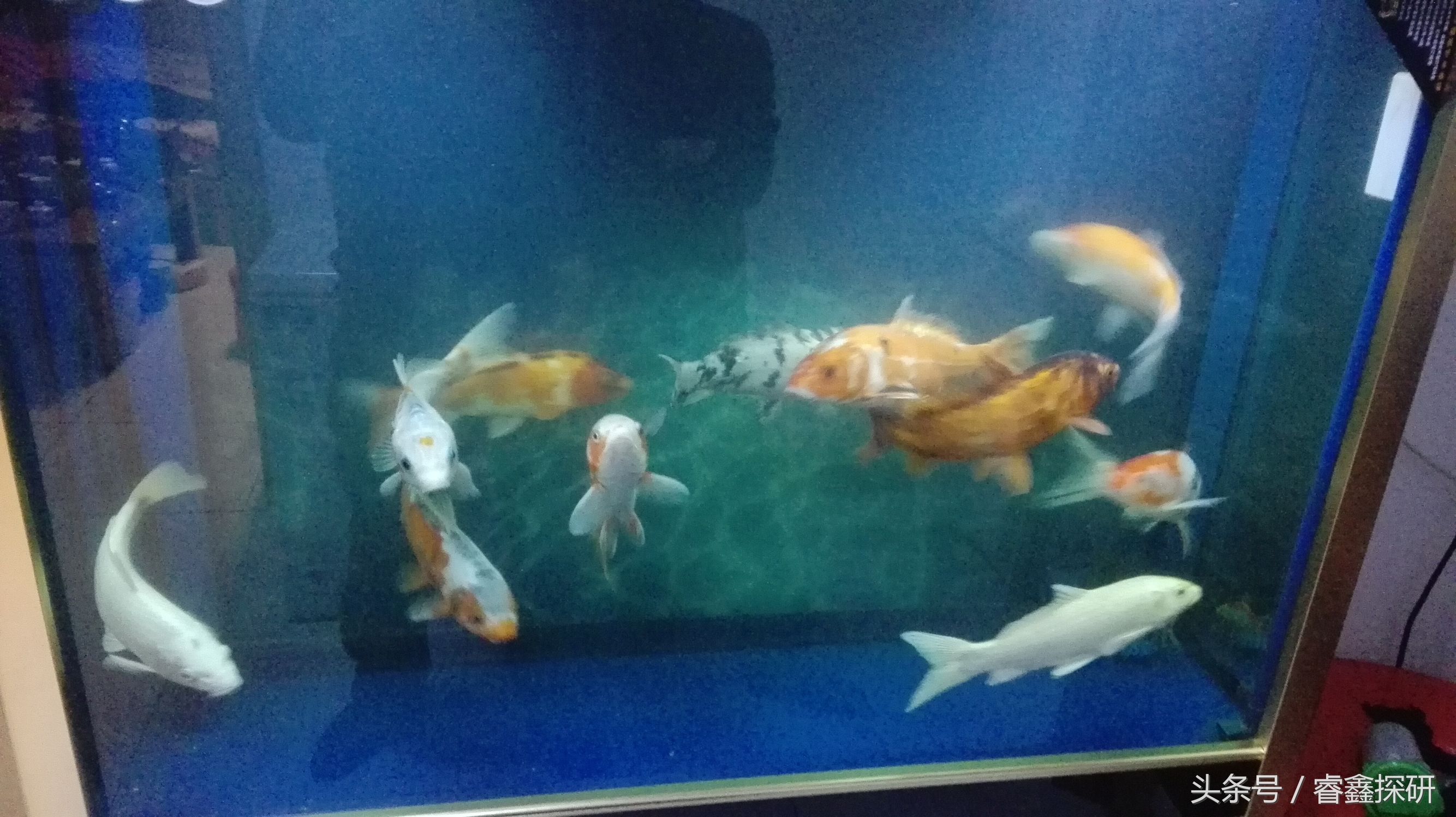 高压水枪不上水没压力怎么回事,高压水枪压力变小了是什么原因