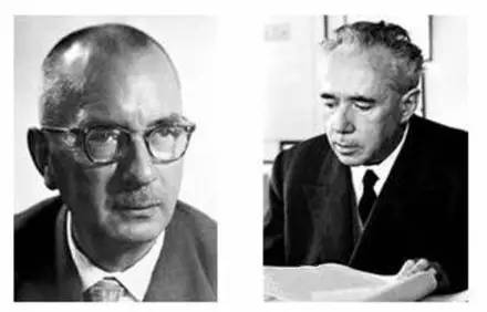 抓绒的优缺点,抓绒有几种