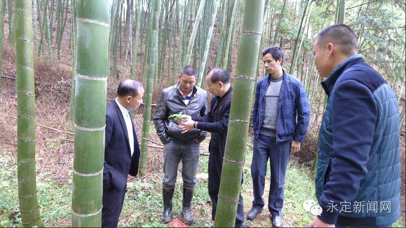 一喝牛奶肚子就不舒服怎么调理,为什么喝牛奶后肚子不舒服