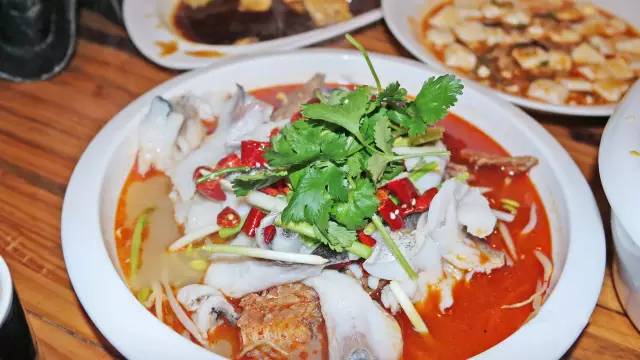 去温江有啥好玩的,夏季温江游玩景点有哪些