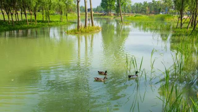 去温江有啥好玩的,夏季温江游玩景点有哪些