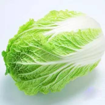 蔬菜种子识别图片,常见蔬菜种子认识