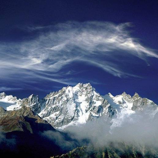 野外棕熊来袭,野外遇到棕熊袭击怎么办