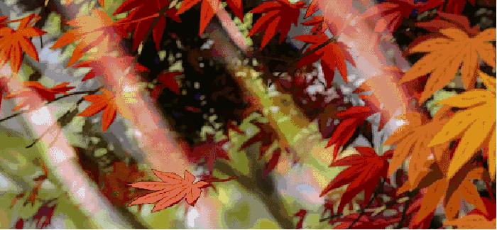 长得丑的好处,丑女人的好处